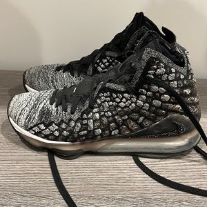LeBron 17s “in the Arena”
